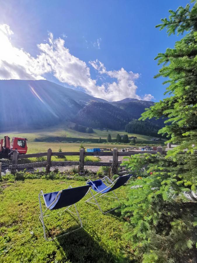 Snowflake Apartment Livigno Dış mekan fotoğraf